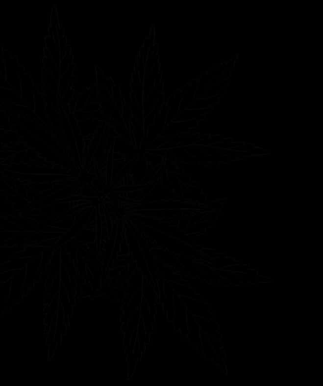 leaf bg