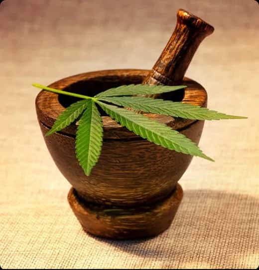 Mortar and pestle with cannabis leaf