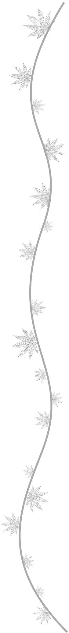 curved line