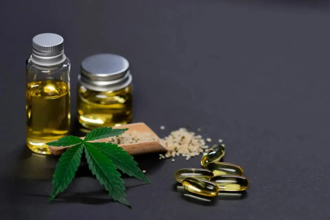 Wellness Journey