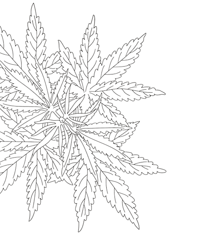 leaf bg